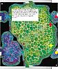 Click image for larger version. 

Name:	section21.jpg 
Views:	2112 
Size:	406.4 KB 
ID:	19804
