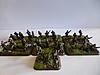 Click image for larger version. 

Name:	Grenadier Platoon 1.jpg 
Views:	440 
Size:	106.6 KB 
ID:	6214