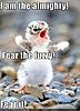 Click image for larger version. 

Name:	funny-pictures-tiny-bird-is-fierce.jpg 
Views:	1075 
Size:	46.1 KB 
ID:	7698