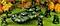steelrudi's Avatar