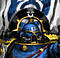 The Emperor's Champion's Avatar