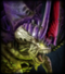 Duke_Mantis's Avatar