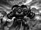 MisterCyto's Avatar