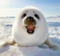 hewhowalks's Avatar