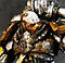 Skrall's Avatar